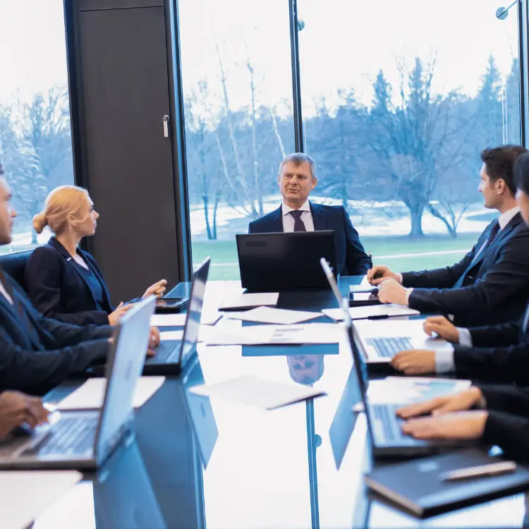 Corporate Formation and Structuring