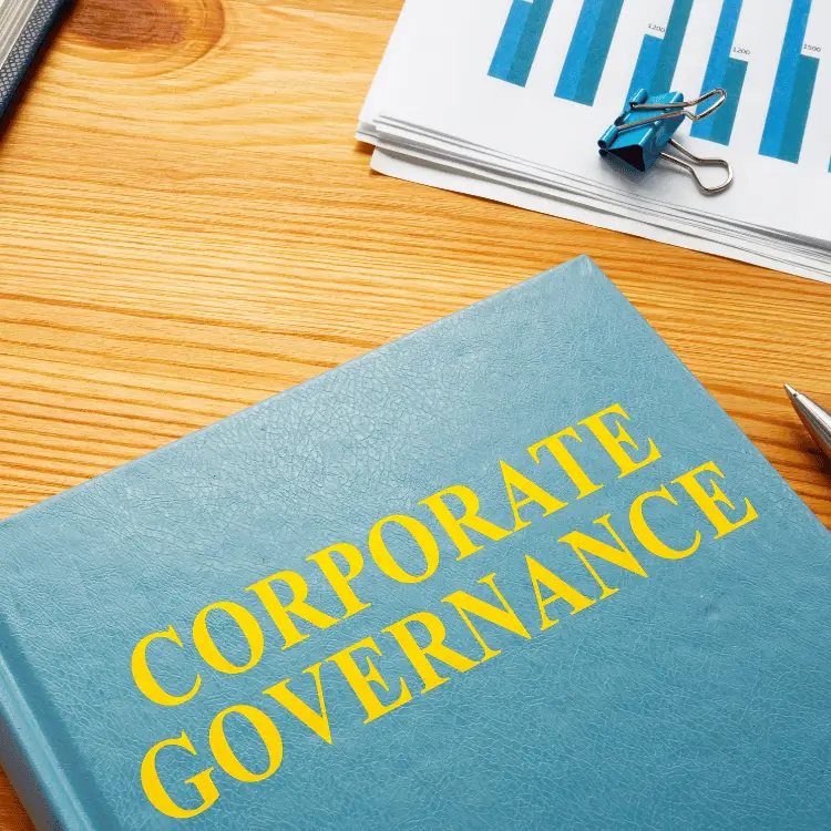 Corporate Governance​